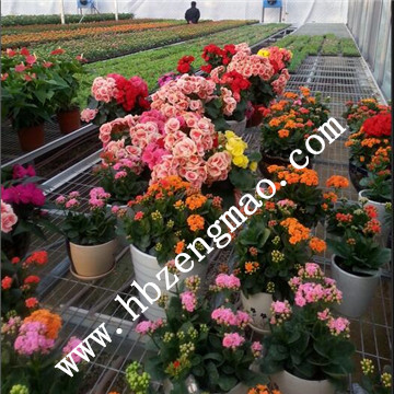 <a href='/' target='_blank'>移動苗床</a>