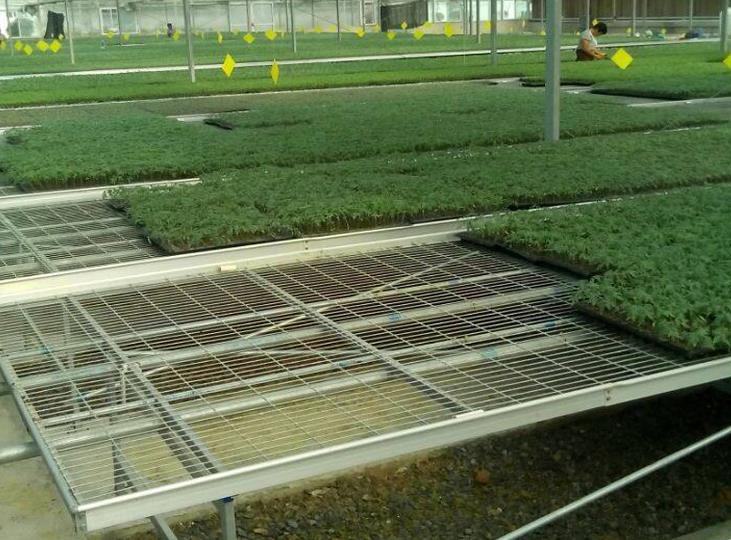 <a href='http://m.saltyvolt.com/miaochuangsheshi/199.html'target='_blank'><a href='http://m.saltyvolt.com/miaochuangsheshi/199.html'target='_blank'><a href='http://m.saltyvolt.com/miaochuangsheshi/199.html'target='_blank'>育苗床</a></a></a>.jpg