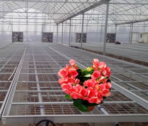 增茂公司的產(chǎn)品性?xún)r(jià)比非常高